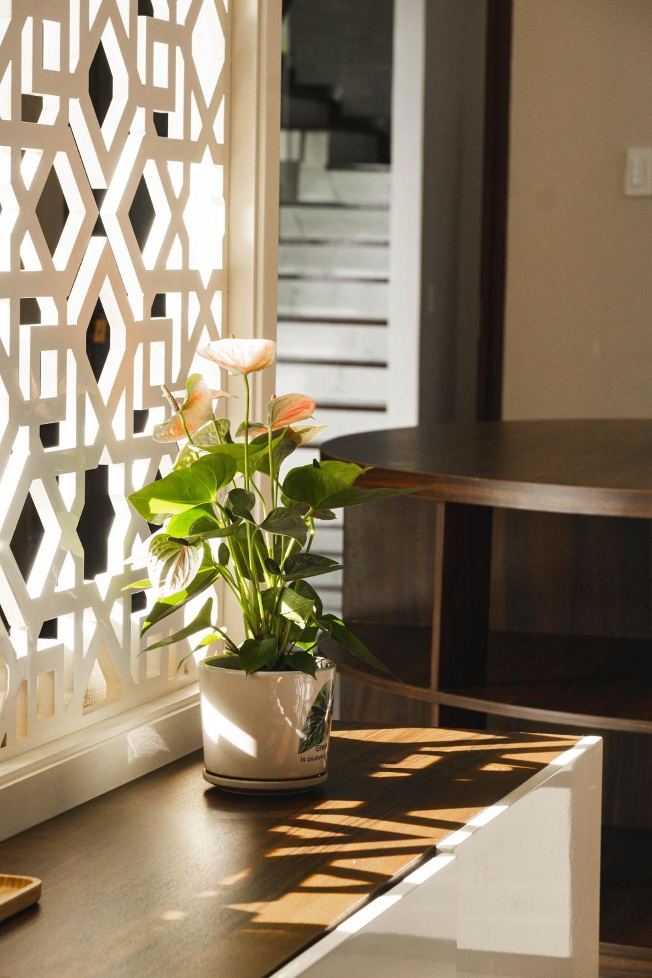 Shalom House _ Bao Loc Otel Dış mekan fotoğraf