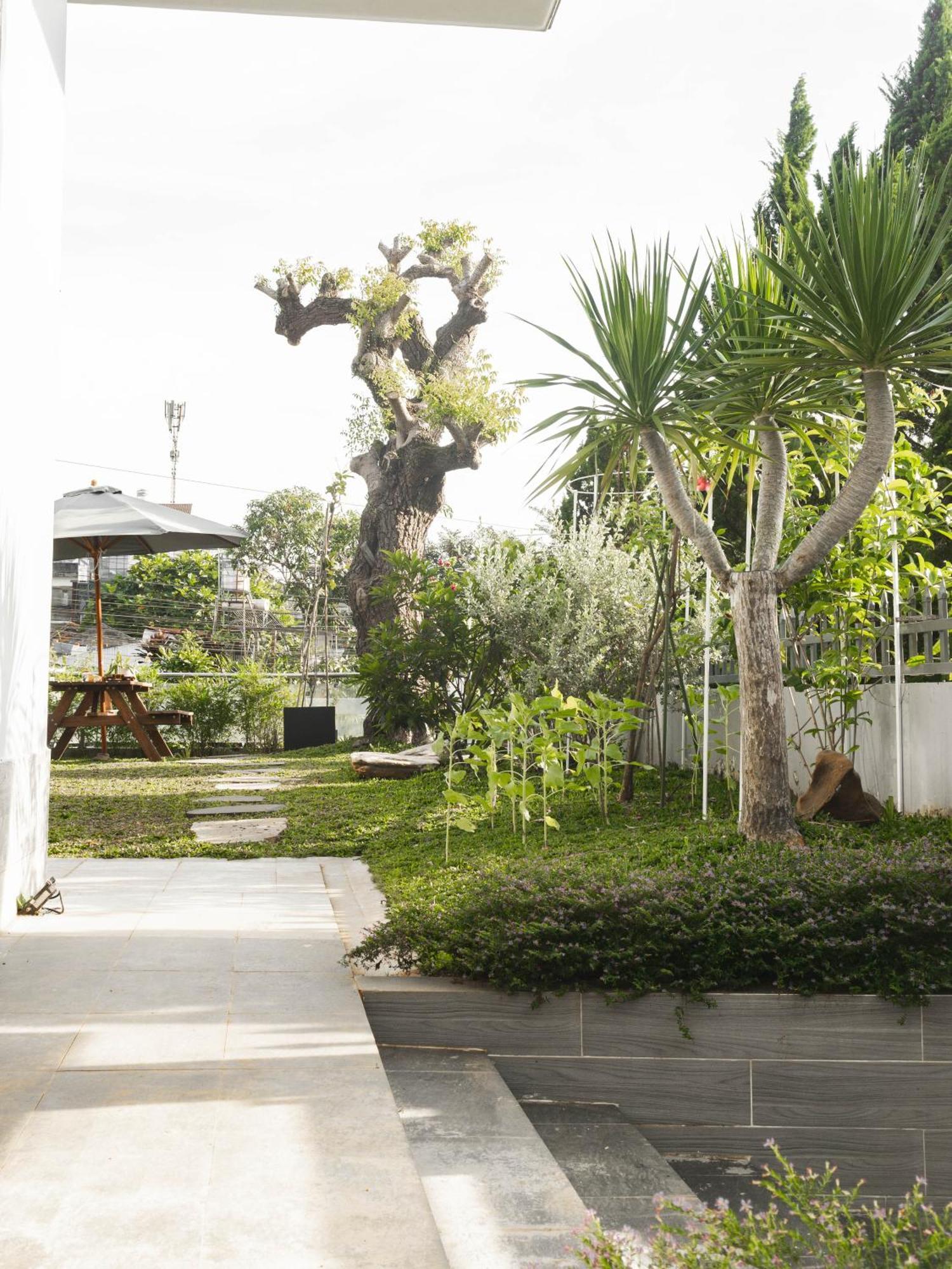 Shalom House _ Bao Loc Otel Dış mekan fotoğraf