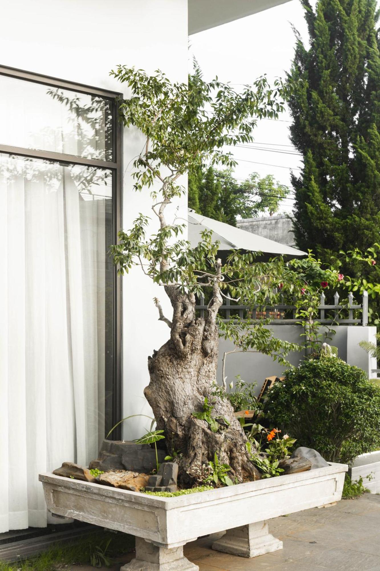 Shalom House _ Bao Loc Otel Dış mekan fotoğraf